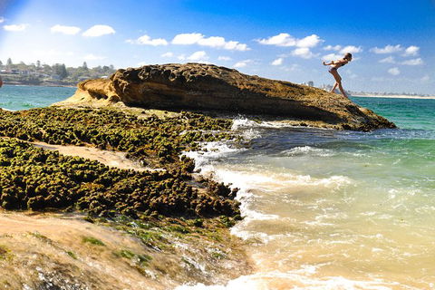 Kiama SouthCoast Uncovered, Beaches, Bush & Sunset PRIVATE Full Day Tour - Kalgoorlie Accommodation 1