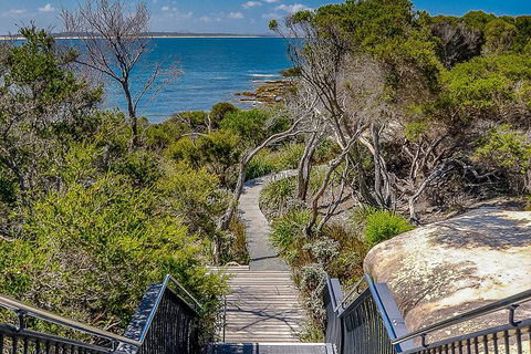 Kiama SouthCoast Uncovered, Beaches, Bush & Sunset PRIVATE Full Day Tour - Kalgoorlie Accommodation 9