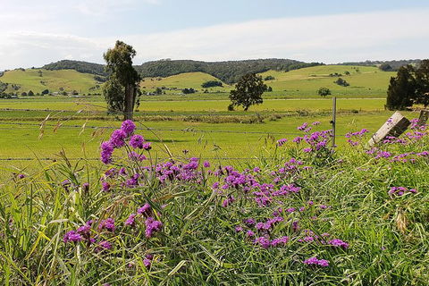 Kiama SouthCoast Uncovered, Beaches, Bush & Sunset PRIVATE Full Day Tour - Kalgoorlie Accommodation 14