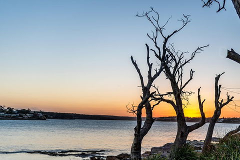 Kiama SouthCoast Uncovered, Beaches, Bush & Sunset PRIVATE Full Day Tour - Kalgoorlie Accommodation 4