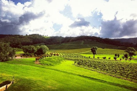 Ivanhoe Wines: Trip Advisor Wine Masterclass With Cheese Plate - Kalgoorlie Accommodation 3