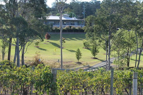 Tulloch Wines- Tasting Of 6 Pokolbin Dry Red Shiraz Vintages With Charcuterie - Kalgoorlie Accommodation 6
