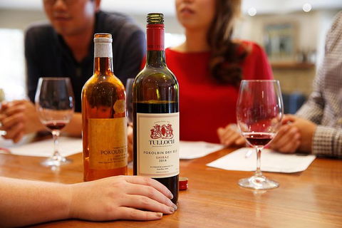 Tulloch Wines- Tasting Of 6 Pokolbin Dry Red Shiraz Vintages With Charcuterie - Kalgoorlie Accommodation 3