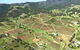 12-Minute Small-Group Hunter Valley Scenic Helicopter Flight - thumb 1