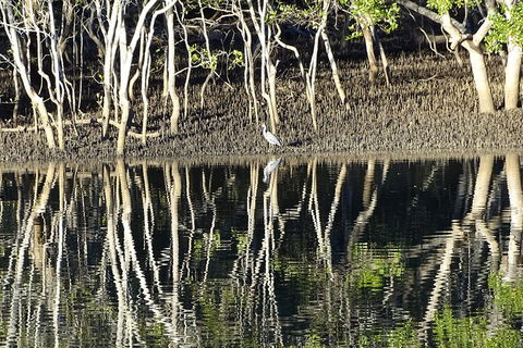 Sunset Eco Rainforest River Cruise - Kalgoorlie Accommodation 3