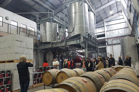Hunter Valley Small Group Wine, Gin, Cheese & Chocolate Tour - Kalgoorlie Accommodation 6
