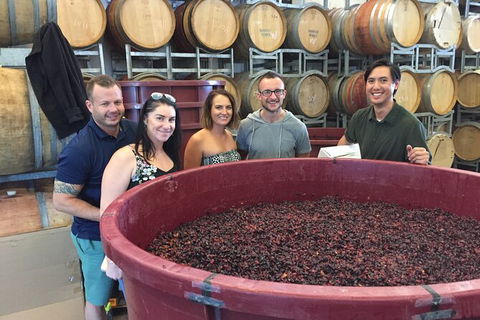Hunter Valley Small Group Wine, Gin, Cheese & Chocolate Tour - Kalgoorlie Accommodation 0