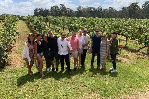 Hunter Valley Exclusive Kangaroo And Wine Tasting Experience - Kalgoorlie Accommodation 6