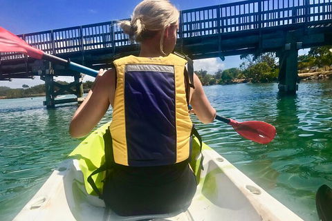 2-Hour Rental Kayak Double In Brunswick River - Kalgoorlie Accommodation 3