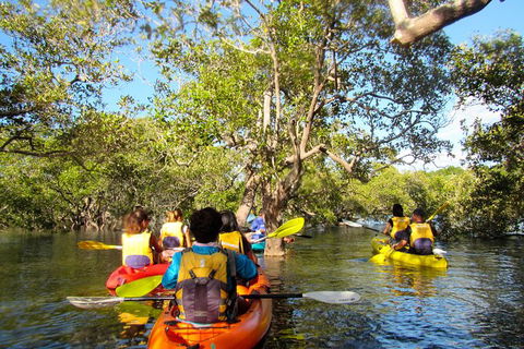 2-Hour Rental Kayak Double In Brunswick River - Kalgoorlie Accommodation 2