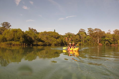 2-Hour Rental Kayak Double In Brunswick River - Kalgoorlie Accommodation 5