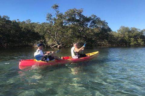 2-Hour Rental Kayak Double In Brunswick River - Kalgoorlie Accommodation 4