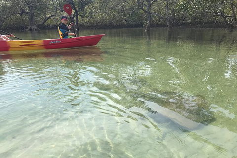 2-Hour Rental Kayak Double In Brunswick River - Kalgoorlie Accommodation 6