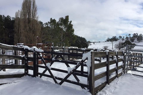 Paddock To Plate Farm Tour And Tasting - Kalgoorlie Accommodation 11
