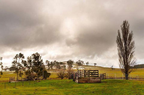 Paddock To Plate Farm Tour And Tasting - Kalgoorlie Accommodation 0