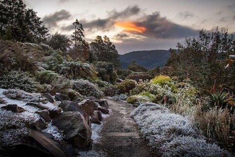 Blue Mountains Botanic Garden And Bilpin Tour From Katoomba With Cider Tasting - Kalgoorlie Accommodation 2