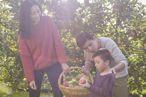 Blue Mountains Botanic Garden And Bilpin Tour From Katoomba With Cider Tasting - Kalgoorlie Accommodation 1