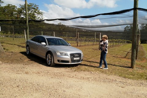 The Secret Vines Experience Port Macquarie - Kalgoorlie Accommodation 0