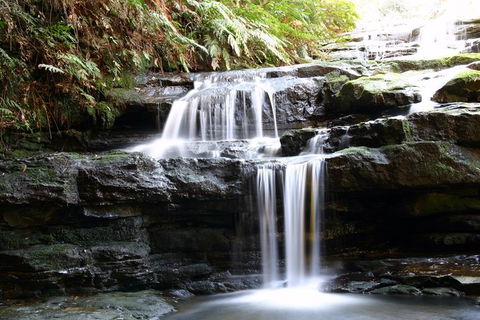 Private 10-hour Tour To Blue Mountains From Sydney - Hotel Pick Up & Drop Off - Kalgoorlie Accommodation 6