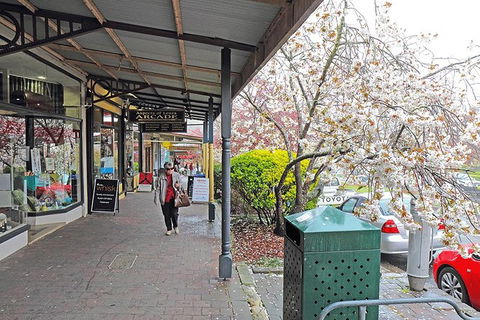 Blue Mountains Highlights & Wildlife Park - Kalgoorlie Accommodation 2