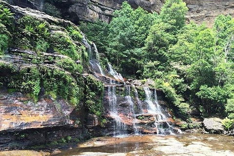 Blue Mountains Highlights & Wildlife Park - Kalgoorlie Accommodation 8