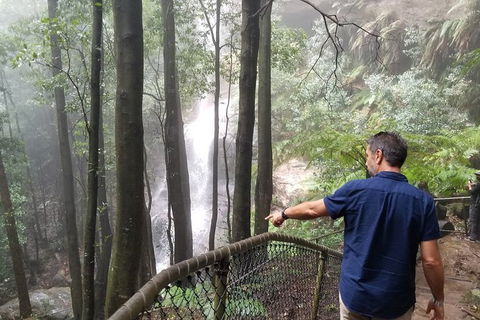 Blue Mountains Highlights, Wildlife Park And Scenic World Full Day Private Tour - Kalgoorlie Accommodation 6