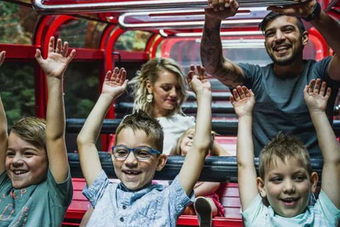 Blue Mountains Highlights, Wildlife Park And Scenic World Full Day Private Tour - Kalgoorlie Accommodation 5