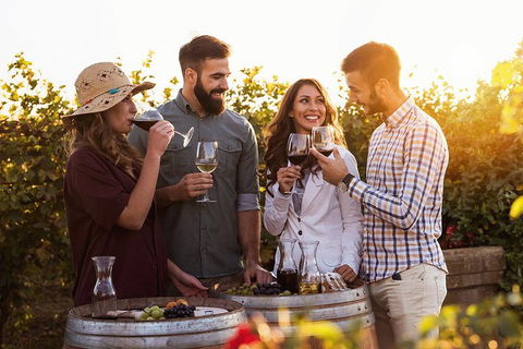 Hunter Valley Highlights Private Wine Tour From Sydney - Kalgoorlie Accommodation 0