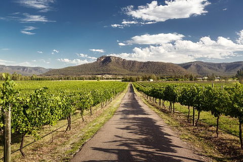 Hunter Valley Highlights Private Wine Tour From Sydney - Kalgoorlie Accommodation 2