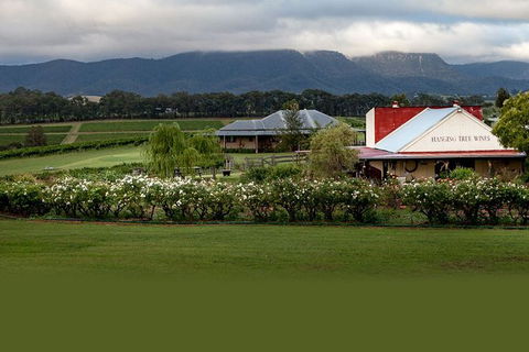Hunter Valley Highlights Private Wine Tour From Sydney - Kalgoorlie Accommodation 5