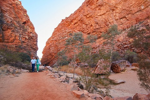 Best Of Alice Springs Full Day Tour - Kalgoorlie Accommodation 2