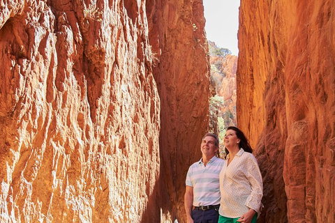 Best Of Alice Springs Full Day Tour - Kalgoorlie Accommodation 4