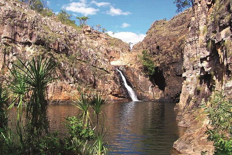Kakadu, Katherine & Litchfield Adventure - Kalgoorlie Accommodation 1