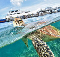 Outer Reef Pontoon Experience from Cairns - Kalgoorlie Accommodation