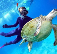 Great Barrier Reef Day Cruise from Cairns Including Snorkeling and Marine Biologist Presentation - Kalgoorlie Accommodation