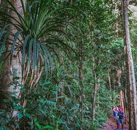 Atherton Tablelands Rain Forest by Night from Cairns - Kalgoorlie Accommodation