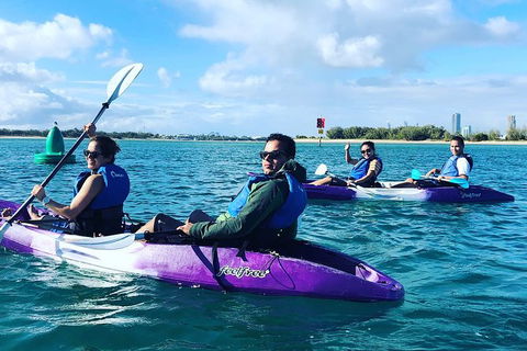 Half Day Dolphin Kayaking And Snorkeling Tour - Kalgoorlie Accommodation 5