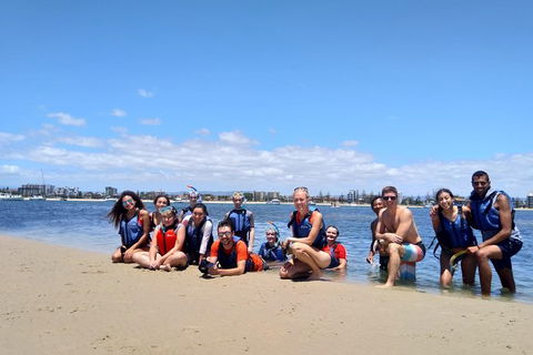 Half Day Dolphin Kayaking And Snorkeling Tour - Kalgoorlie Accommodation 9