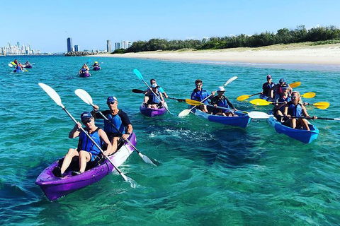 Half Day Dolphin Kayaking And Snorkeling Tour - Kalgoorlie Accommodation 11
