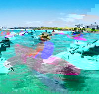 Half Day Dolphin Kayaking and Snorkeling Tour - Kalgoorlie Accommodation