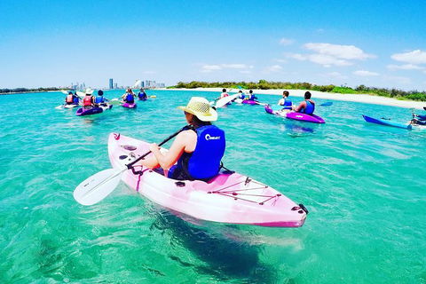 Half Day Dolphin Kayaking And Snorkeling Tour - Kalgoorlie Accommodation 0