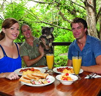 Breakfast with the Koalas at Hartley's Crocodile Park from Cairns or Palm Cove - Kalgoorlie Accommodation