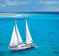 Ocean Spirit Michaelmas Cay Dive and Snorkel Cruise from Cairns - Kalgoorlie Accommodation