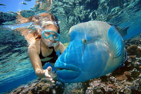 Cairns 2-Day Combo: Great Barrier Reef Cruise And Kuranda - Kalgoorlie Accommodation 0