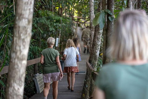 Daintree Rainforest, Cape Tribulation And Bloomfield Track Small Group Tour - Kalgoorlie Accommodation 15