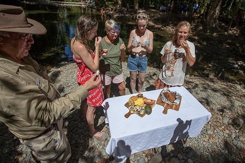 Daintree Rainforest, Cape Tribulation And Bloomfield Track Small Group Tour - Kalgoorlie Accommodation 10
