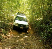 Barron Gorge and Kuranda National Park Half Day Rainforest and Waterfall 4WD Tour from Cairns - Kalgoorlie Accommodation