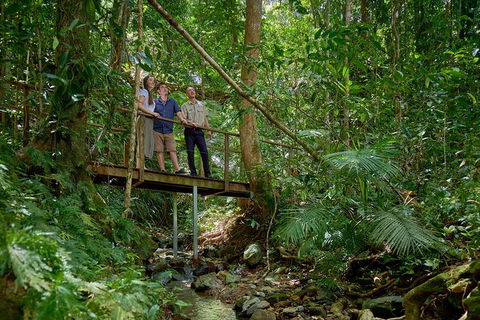 Daintree And Cape Tribulation Tour From Cairns - Kalgoorlie Accommodation 3