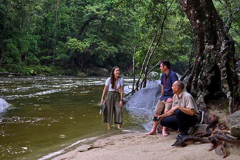 Daintree And Cape Tribulation Tour From Cairns - Kalgoorlie Accommodation 2