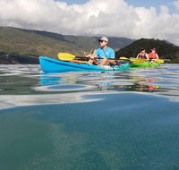 Kayak Turtle Tour from Palm Cove - Kalgoorlie Accommodation